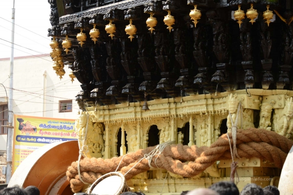 ther  back view